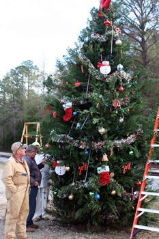 Town of Notasulga Christmas tree