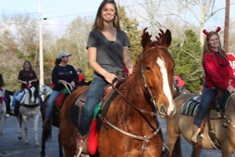 rider and her horse