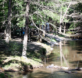 my Hungry Mother state park camp site 2013