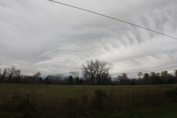 beautiful and threatening clouds on 23Mar2013